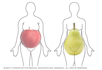 kroppsform av äpplen och päron