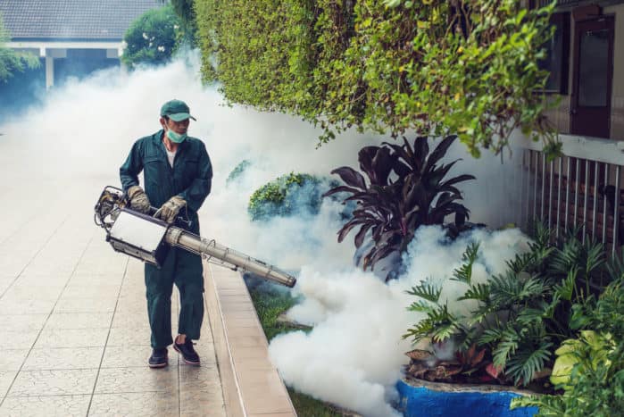dimma gas i dengue myggor