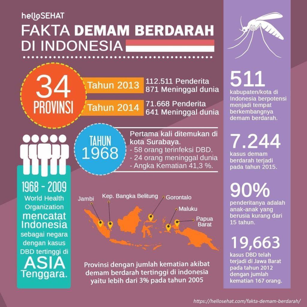 dengue fever hellosehat i Indonesien