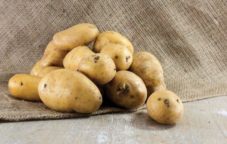 fördelarna med potatis för skönhet