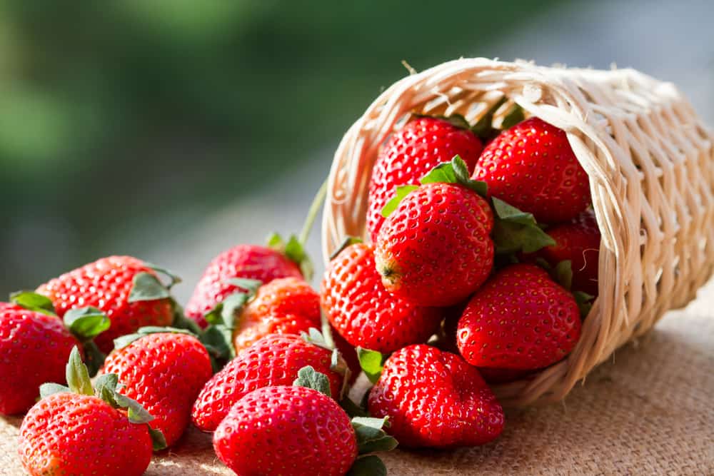 fördelarna med jordgubbar frukt